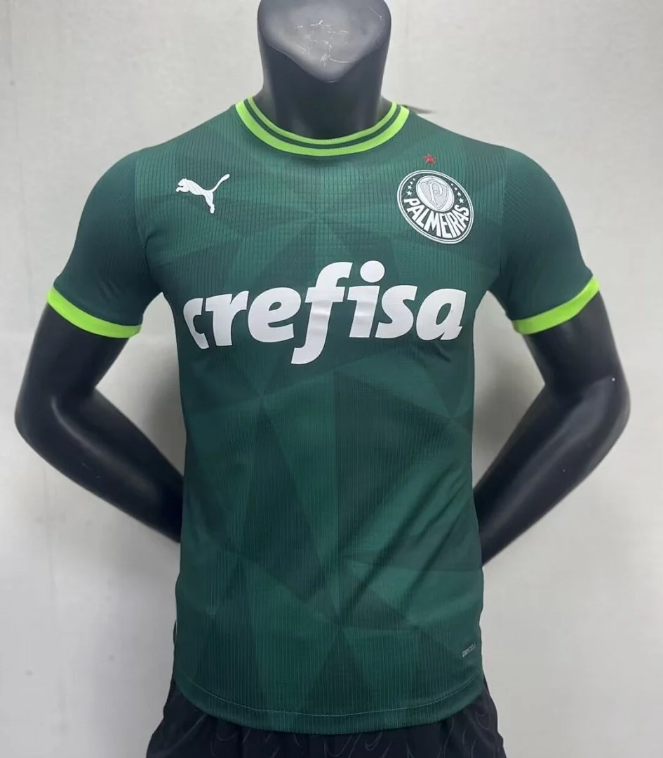 22-23 Palmeiras Home - view 1
