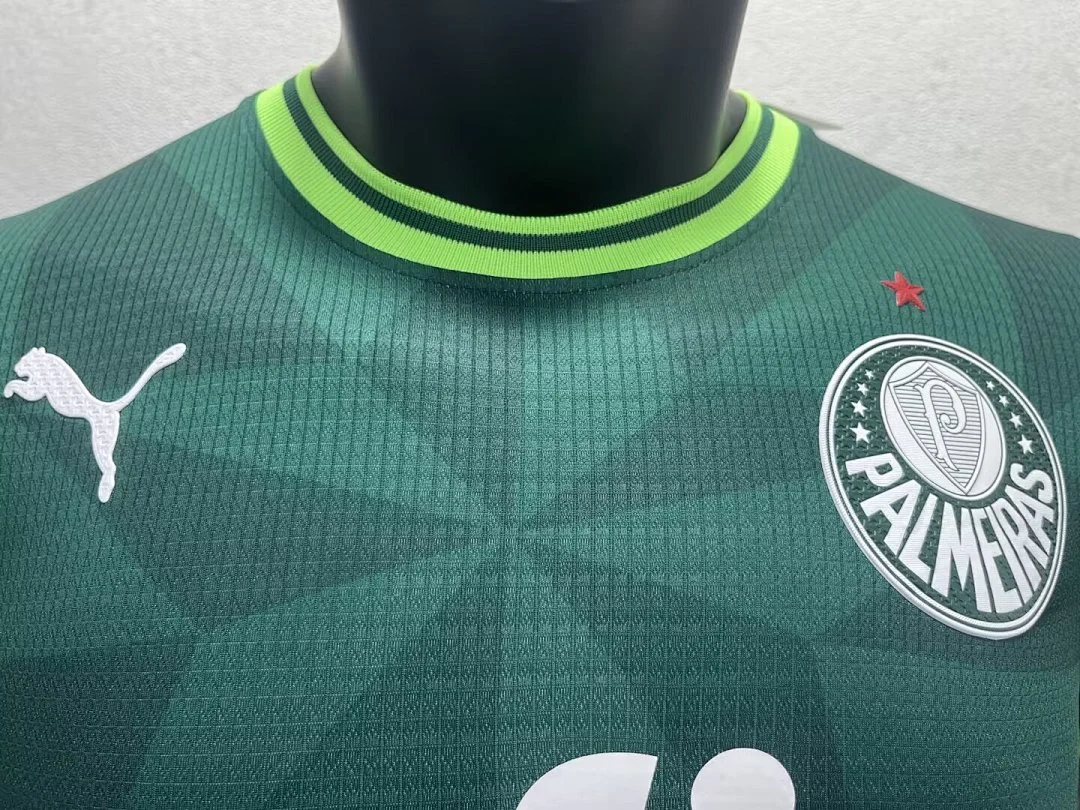 22-23 Palmeiras Home - view 5