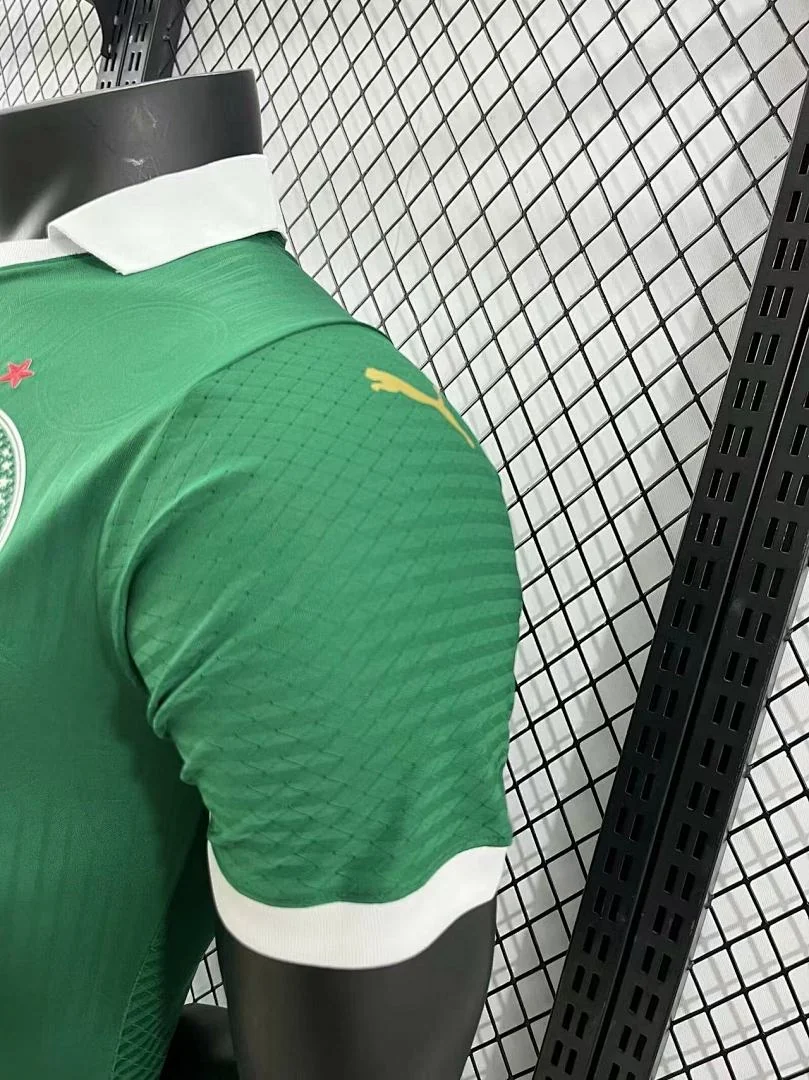 24-25 Palmeiras Home S-3XL - view 4