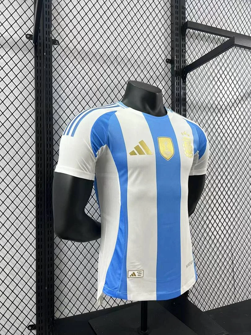24-25 Argentina Home - view 2