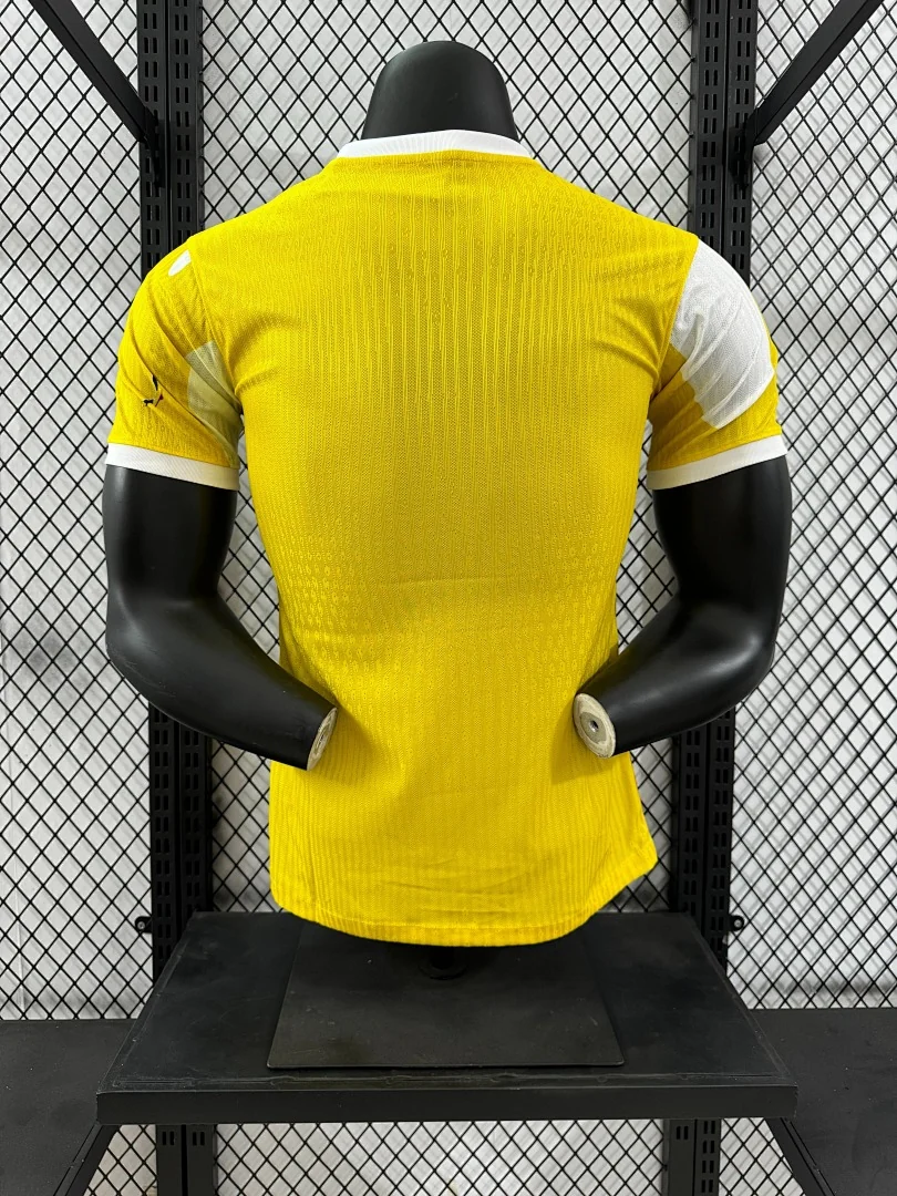 2425 Brazil Special Edition S-2XL - view 2