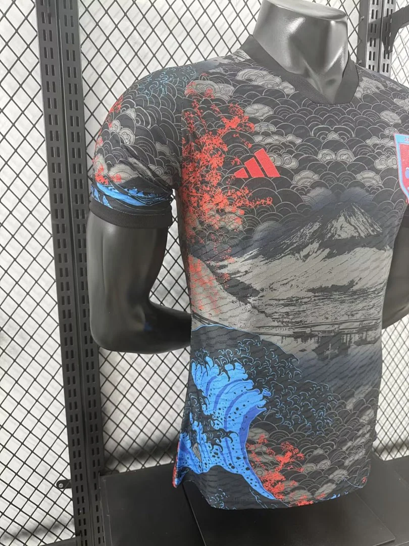 2425 Japan Special Edition S-2XL - view 6