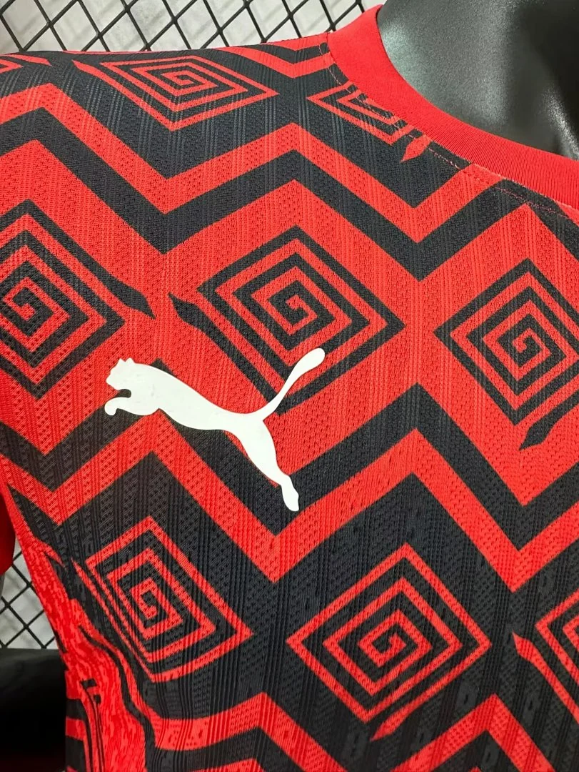 2425 Japan Special Edition S-2XL - view 4