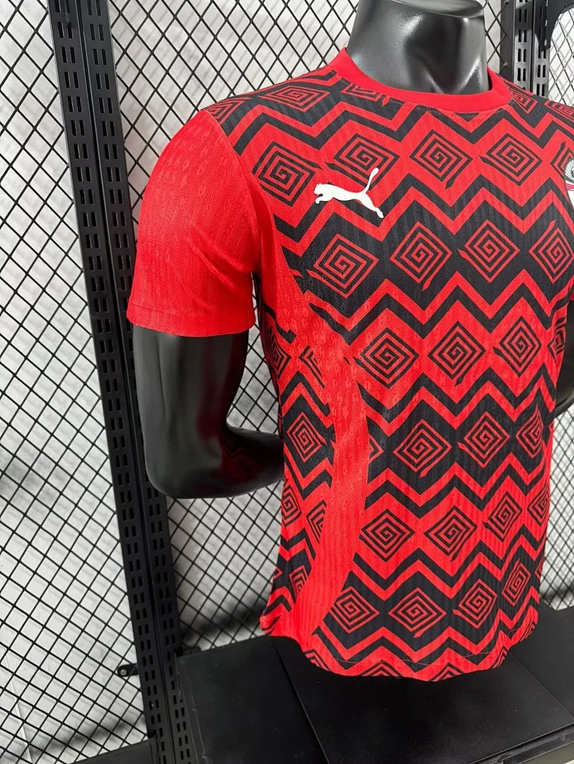 2425 Japan Special Edition S-2XL - view 6