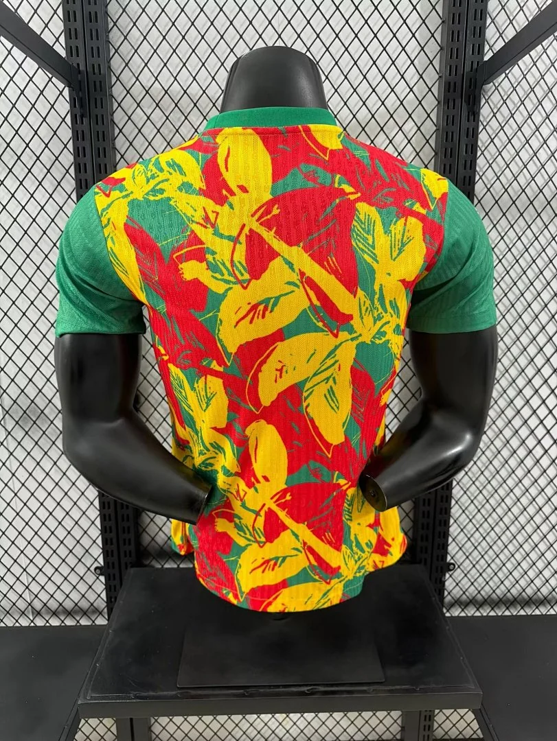 2425 Senegal Special Edition S-2XL - view 2