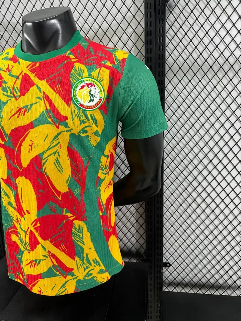 2425 Senegal Special Edition S-2XL - view 6