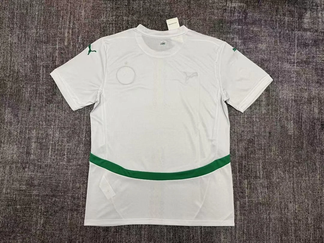 25-26 Senegal Away - view 2