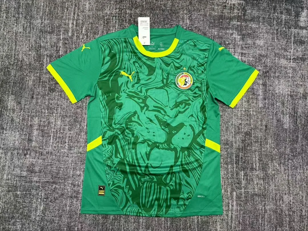 25-26 Senegal Home - view 1