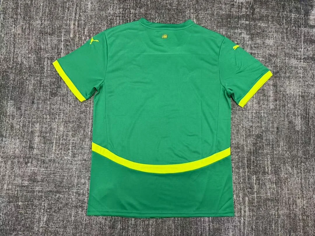 25-26 Senegal Home - view 2