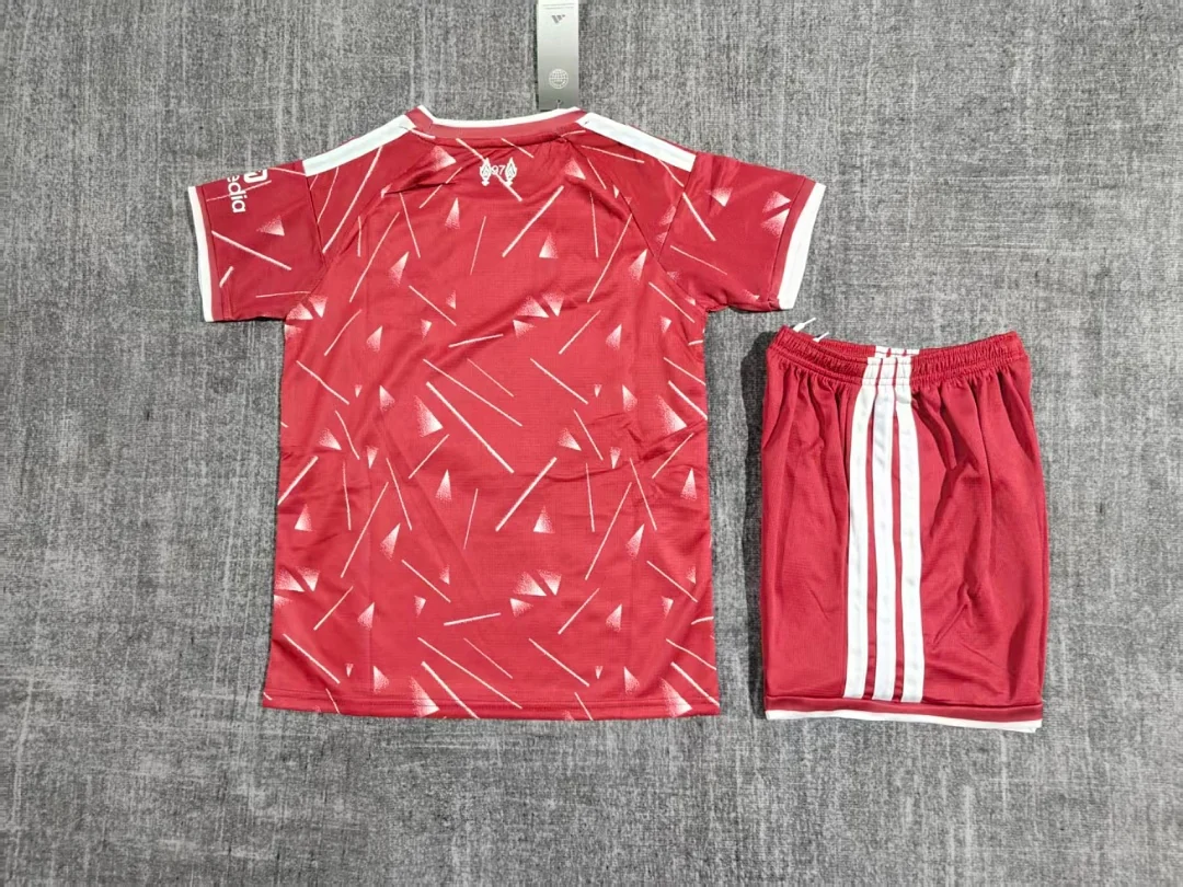 Liverpool Home - view 2